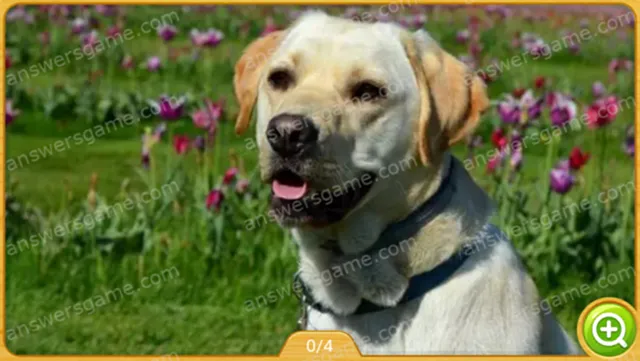 Word Heaps Pic Level 282