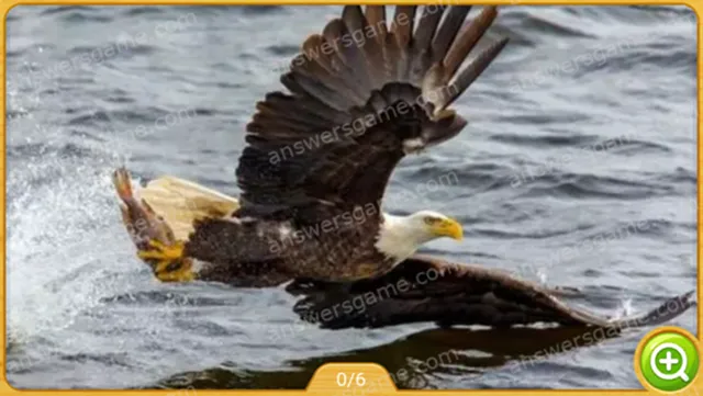 Word Heaps Pic Poziom 29