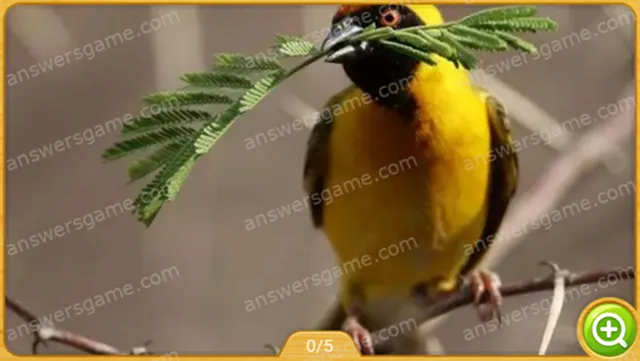 Word Heaps Pic Poziom 294