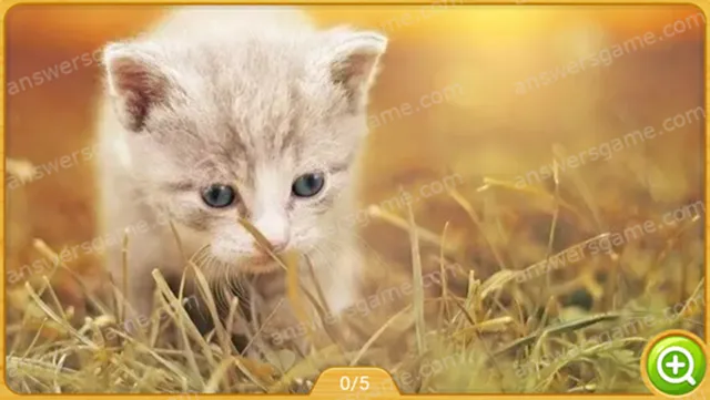 Word Heaps Pic Poziom 301