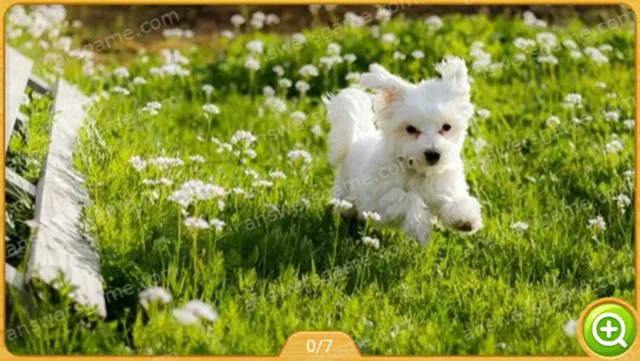 Word Heaps Pic Poziom 307