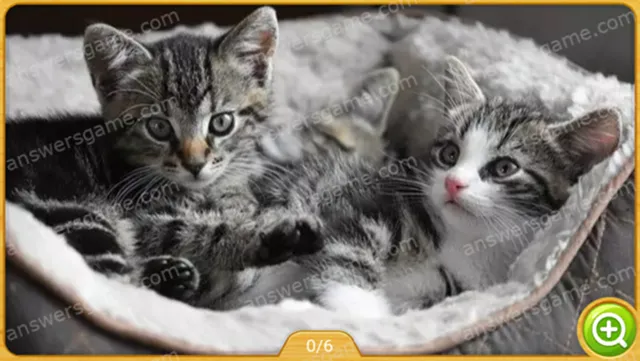 Word Heaps Pic Poziom 324