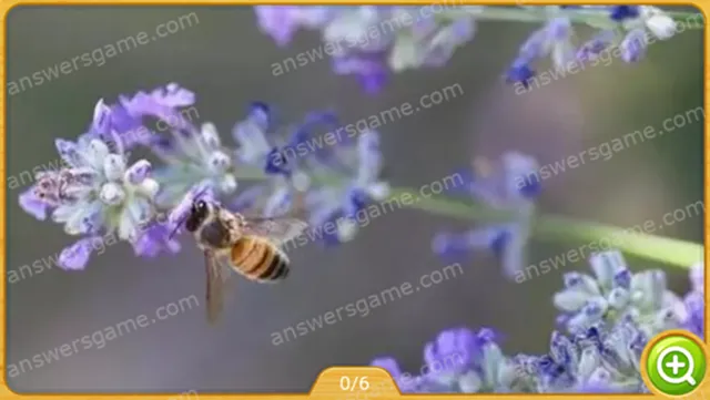 Word Heaps Pic Poziom 33