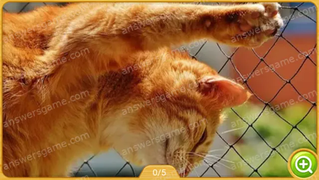 Word Heaps Pic Poziom 331