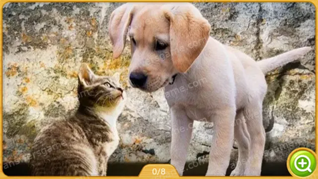 Word Heaps Pic Poziom 339