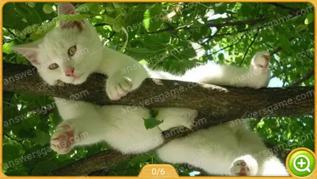 Word Heaps Pic Poziom 343