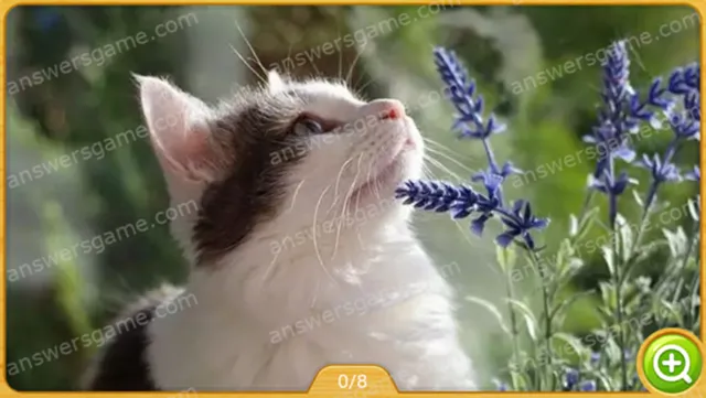 Word Heaps Pic Poziom 348