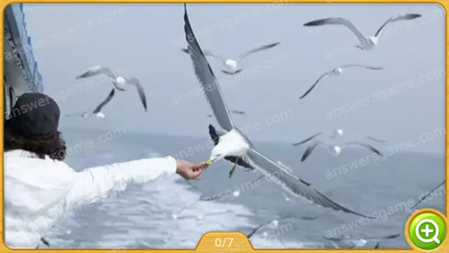 Word Heaps Pic Level 357