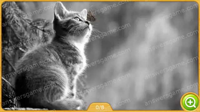 Word Heaps Pic Level 358