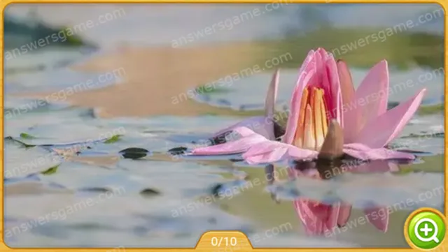 Word Heaps Pic Poziom 370