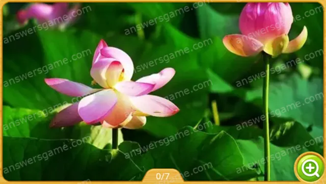 Word Heaps Pic Level 377