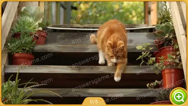 Word Heaps Pic Level 381