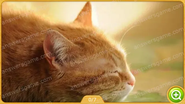 Word Heaps Pic Poziom 392