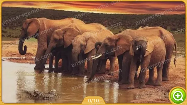 Word Heaps Pic Poziom 398