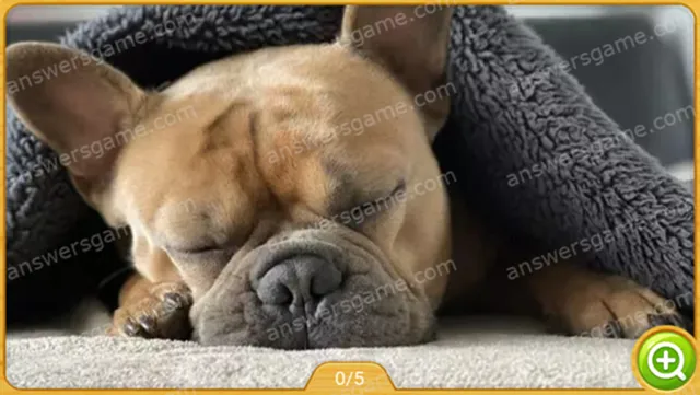 Word Heaps Pic Level 404