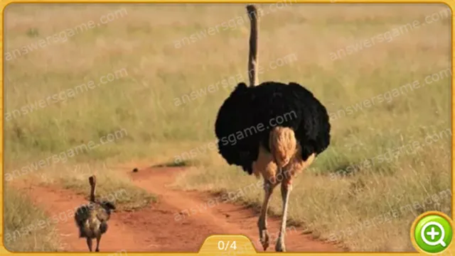 Word Heaps Pic Poziom 422