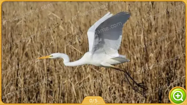 Word Heaps Pic Level 431