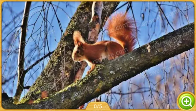 Word Heaps Pic Level 433