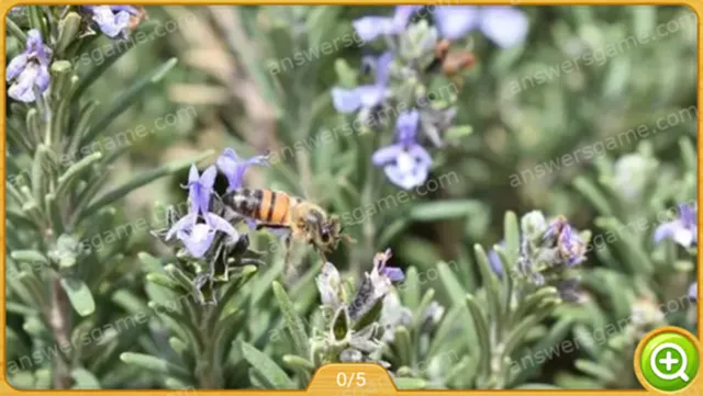 Word Heaps Pic Level 445