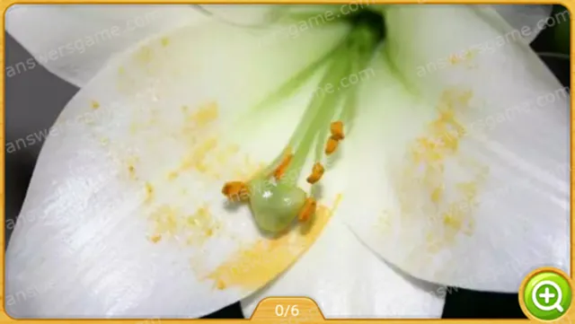 Word Heaps Pic Poziom 47