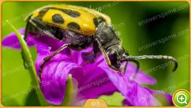 Word Heaps Pic Level 472