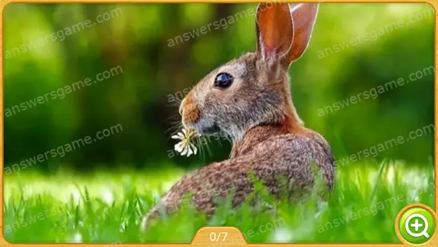 Word Heaps Pic Poziom 49