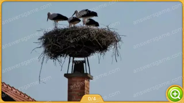 Word Heaps Pic Level 499