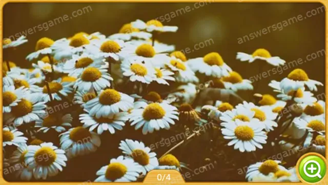 Word Heaps Pic Level 504