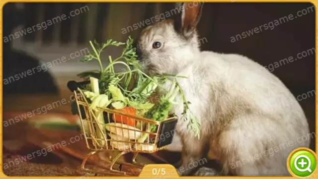 Word Heaps Pic Level 505