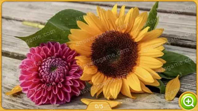 Word Heaps Pic Level 506