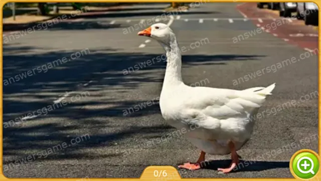 Word Heaps Pic Level 507