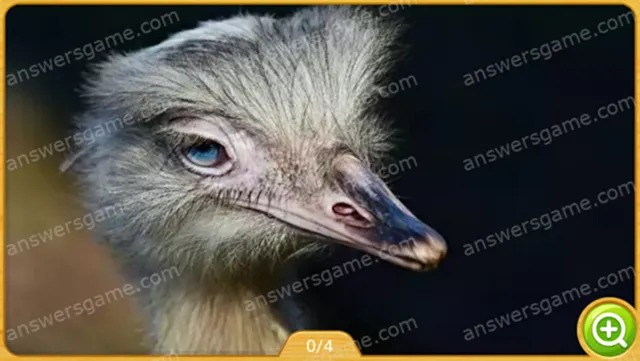 Word Heaps Pic Poziom 512