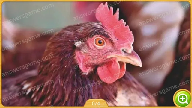 Word Heaps Pic Poziom 539