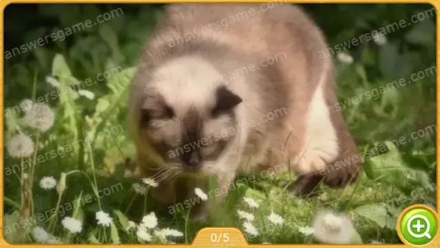 Word Heaps Pic Poziom 552