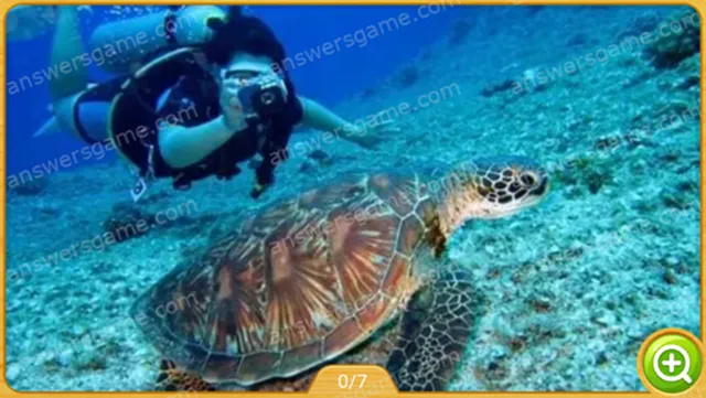 Word Heaps Pic Poziom 56