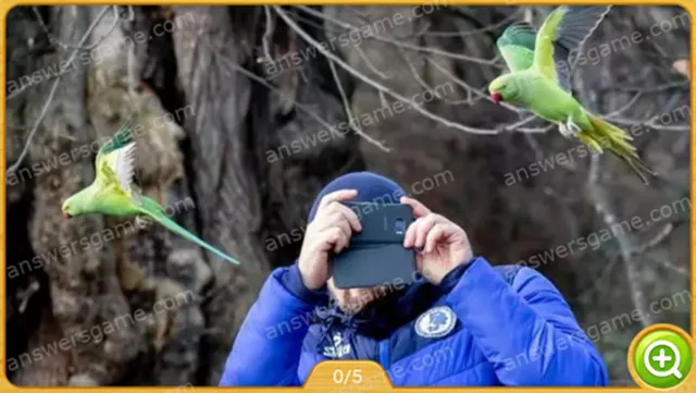 Word Heaps Pic Level 564