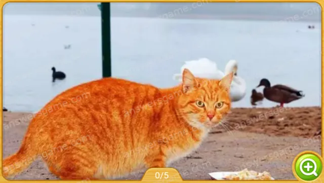 Word Heaps Pic Level 565