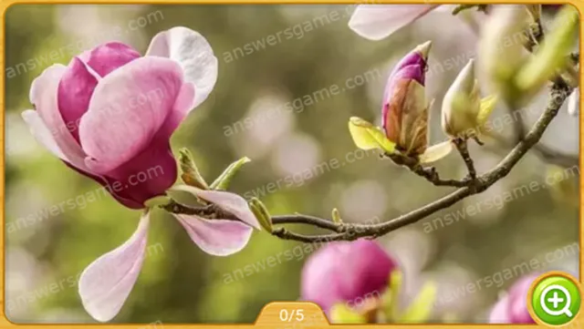 Word Heaps Pic Level 581