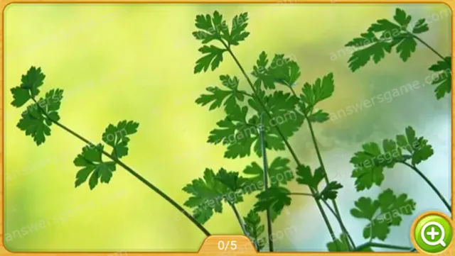 Word Heaps Pic Level 588