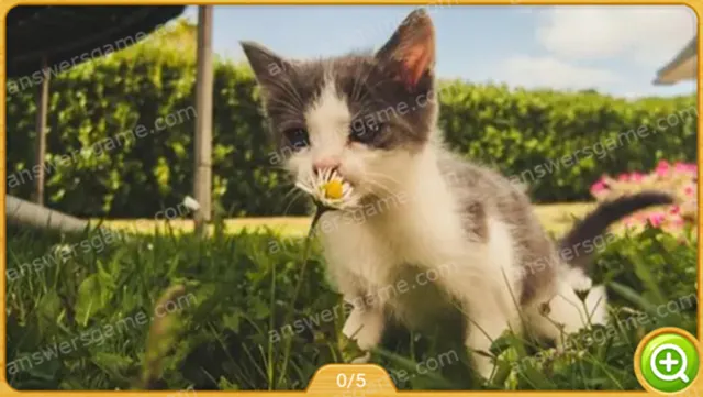 Word Heaps Pic Level 597