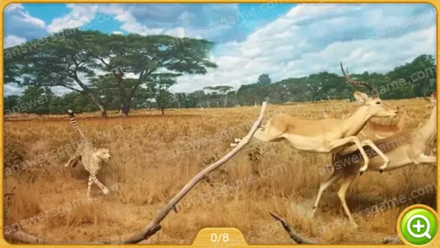 Word Heaps Pic Poziom 72