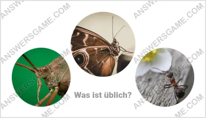 Lösung für das Wort Betrüger Ebene 5 Puzzle 1