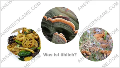 Lösung für das Wort Betrüger Ebene 2 Puzzle 18