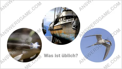 Lösung für das Wort Betrüger Ebene 8 Puzzle 2