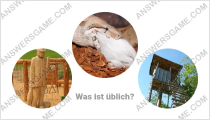 Lösung für das Wort Betrüger Ebene 17 Puzzle 1