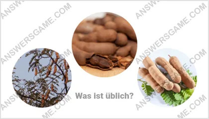 Lösung für das Wort Betrüger Ebene 14 Puzzle 17