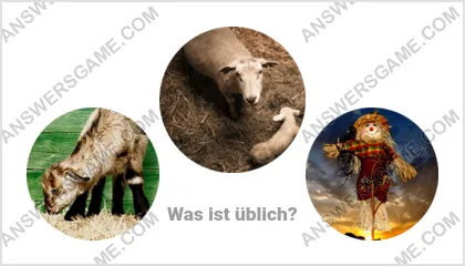 Lösung für das Wort Betrüger Ebene 3 Puzzle 1