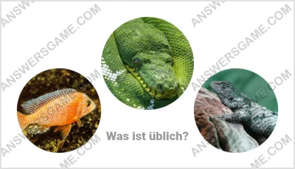 Lösung für das Wort Betrüger Ebene 7 Puzzle 14