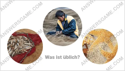 Lösung für das Wort Betrüger Ebene 7 Puzzle 17