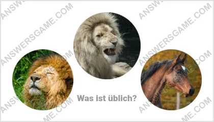 Lösung für das Wort Betrüger Ebene 20 Puzzle 3